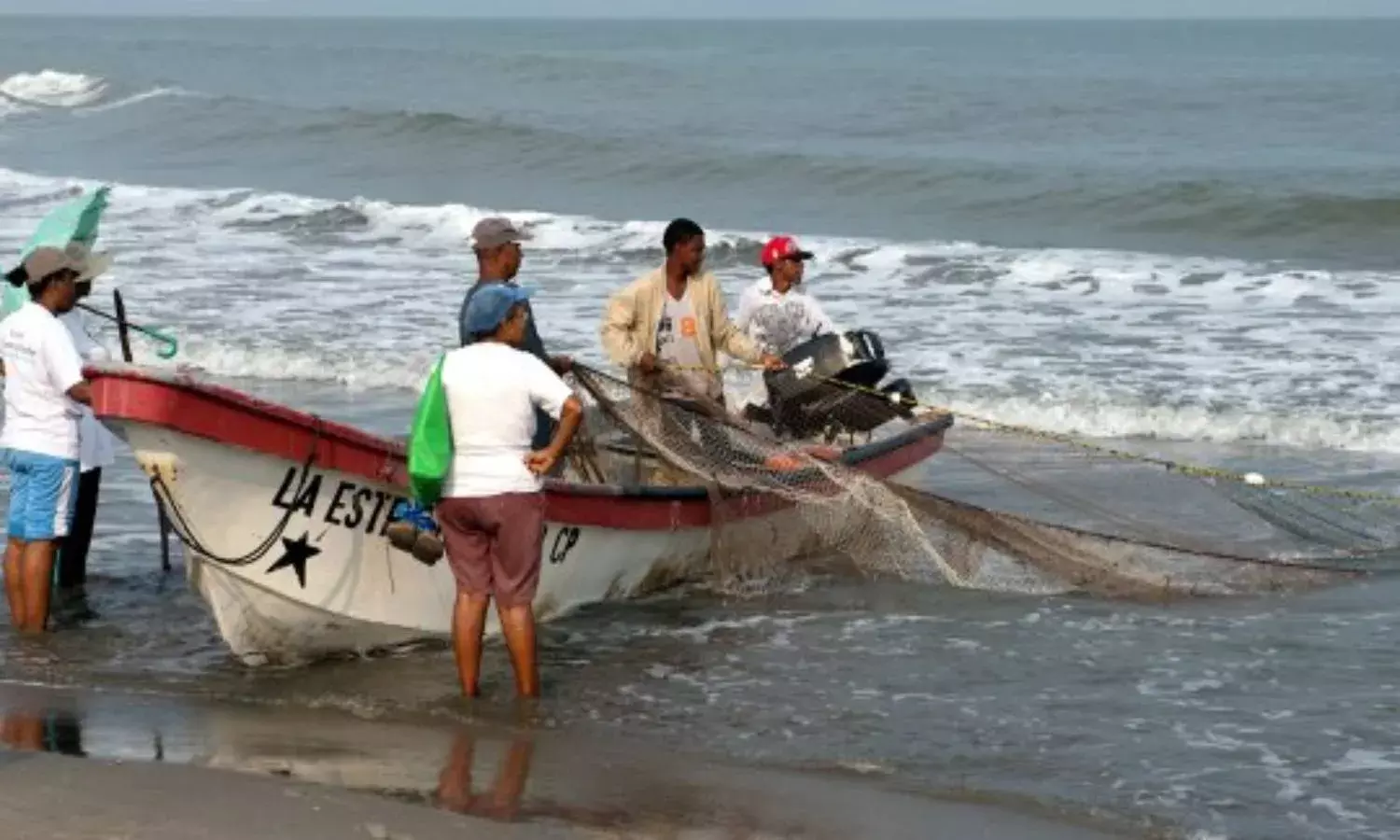 Prawn to pomfret: Fishing activity resumes in Andhra as ban ends