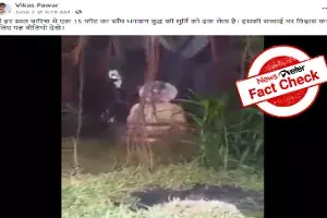 Fact Check: Robotic snake wrapped around Lord Buddha statue passed off as real Fact Check: Robotic snake wrapped around Lord Buddha statue passed off as real
