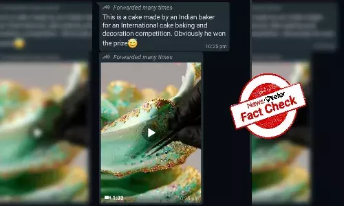 Fact Check: Viral video of doll-like cake is made by Singaporean artist, not Indian baker