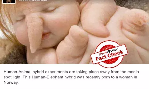 Fact check: Image of half human-half elephant is an artwork