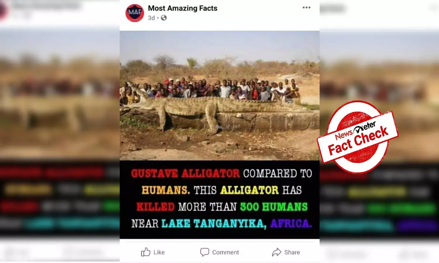 Fact Check: Crocodile in viral image is not Gustave