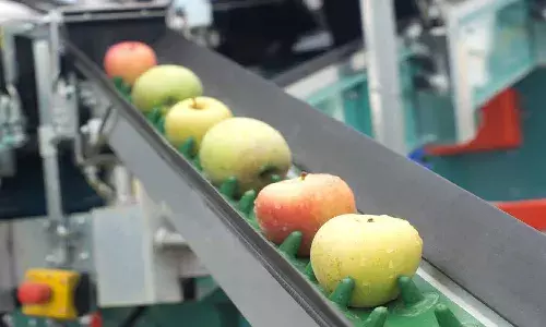 AP govt to set up 25 fruit processing units, 2,000 warehouses