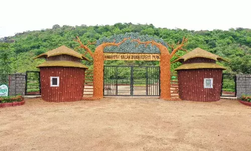 40,000 trees, 15 gazebos: Inside Pedda Amberpet Kalan Urban Forest Park
