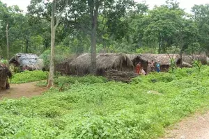 14YO tribal girls body found hanging from tree in Vizag 14YO tribal girls body found hanging from tree in Vizag
