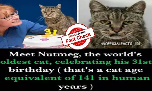 Fact Check: Is Nutmeg, the worlds oldest cat, still alive?