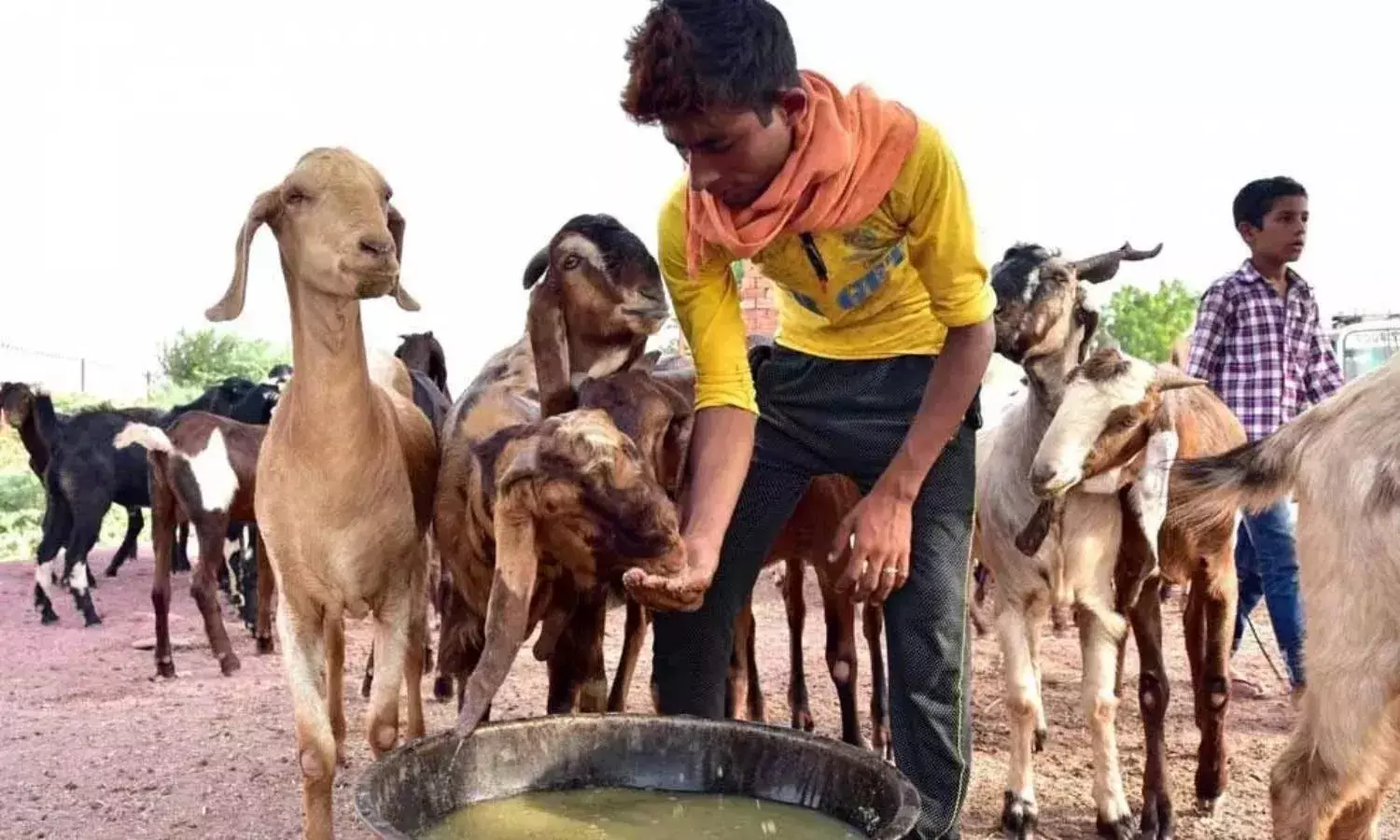 Hate speech videos, false allegations circulate on social media ahead of Bakrid