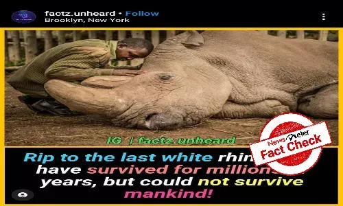 Fact check:  Has last surviving white rhino on earth passed away?