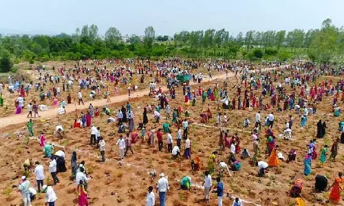 Adilabad MLA Jogu Ramanna plants 3.5L trees, enters Wonder Book of Records
