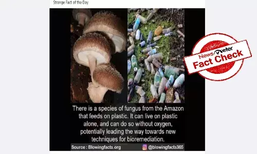 Scientists discover fungus that feeds on plastic
