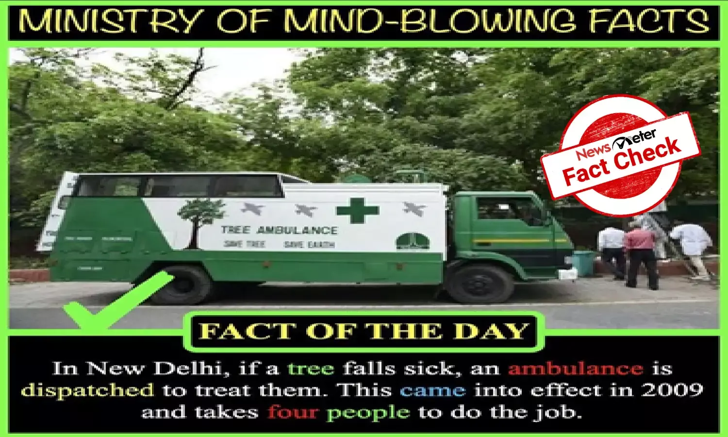 Go green: An ambulance for sick trees takes internet by storm