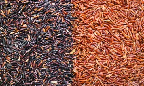 Black and red rice: Andhra tries exotic paddy to revolutionize farm sector, increase exports