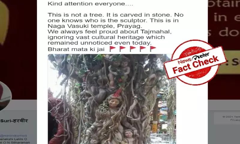 Karnatakas Artistic Banyan tree passed off as sculpture from Prayags `Naga Vasuki temple