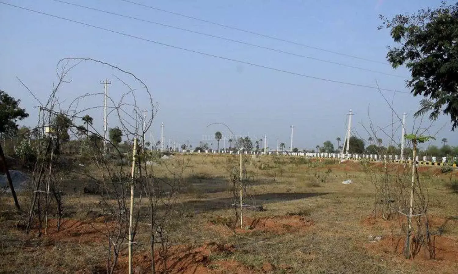 TS govt auctions 14.91 acres of land for Rs. 729.41 crore at Khanamet