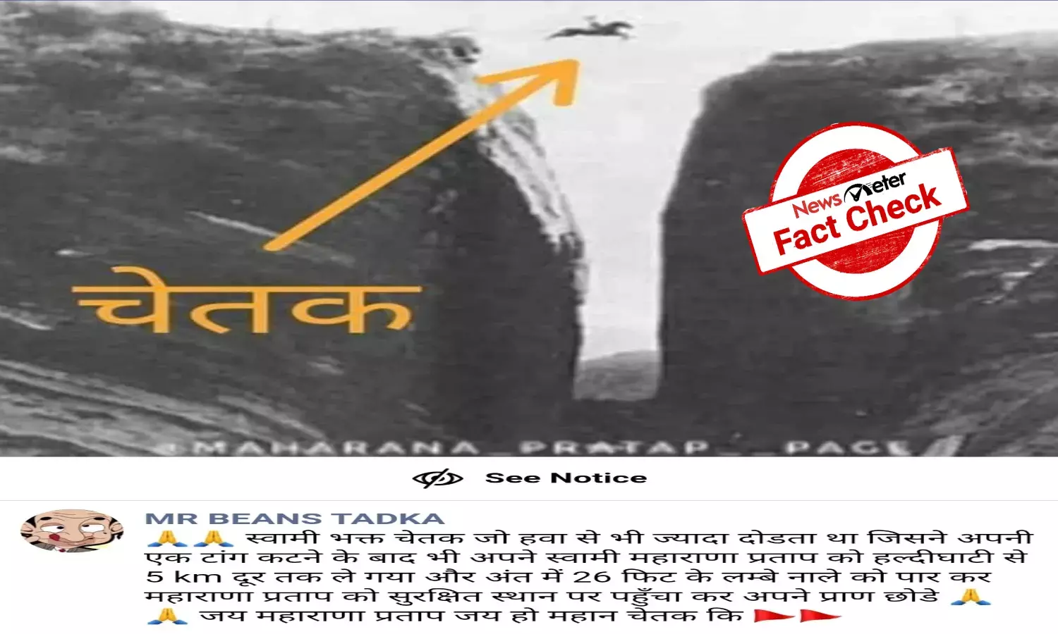 Fact Check: Still from 1923 movie Three Jumps Ahead goes viral as Maharana Prataps horse Chetak
