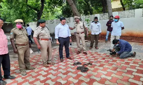 Red Sand Boa snakes worth crores seized in Guntur, four held