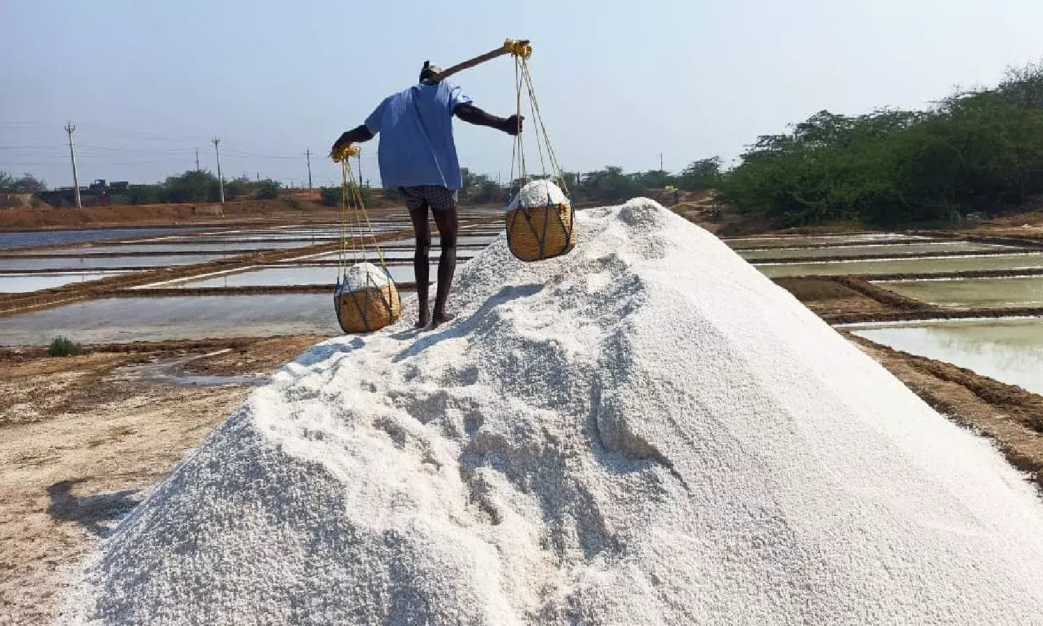 Salt pans withering away in Naupada, parts of Andhra Pradesh