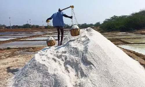 Salt pans withering away in Naupada, parts of Andhra Pradesh