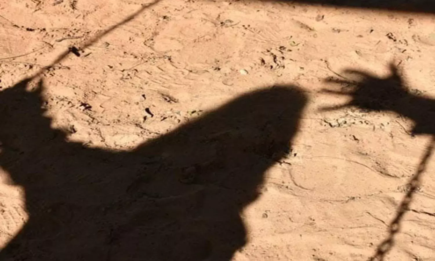 Andhra horror: Business partner assaults 7MO girl; father rapes minor stepdaughter