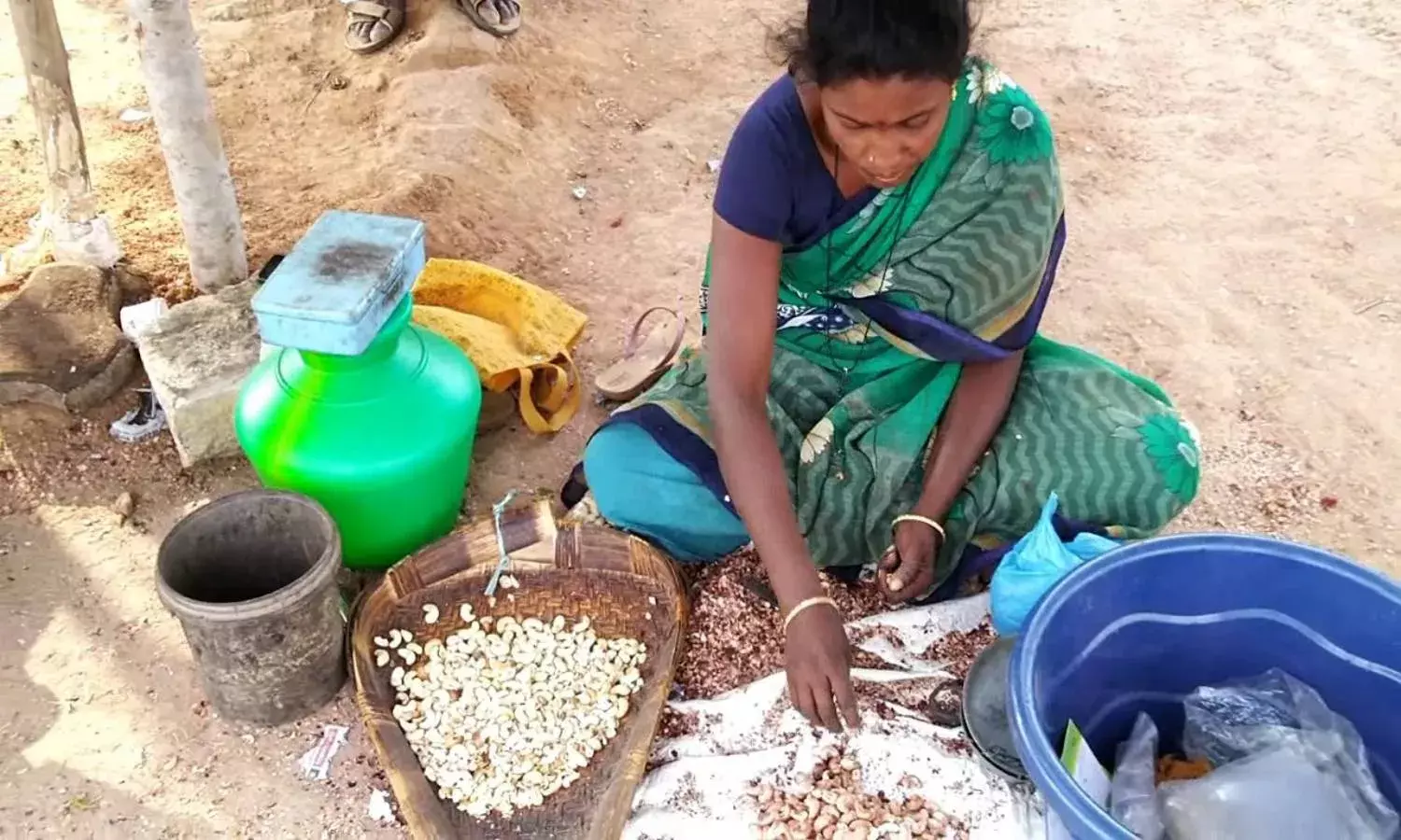 Andhra cashew growers stare at bleak future; send SOS to govt for MSP