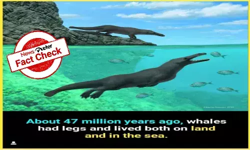 Did whales have four legs millions of years ago?