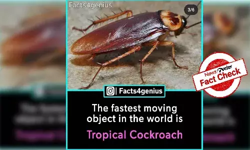 Fact Check: `Tropical Cockroach is not fastest moving object in world