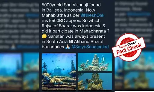 Fact Check: Photos of Bali coral reef conservation project passed off as 5,000-year-old Vishnu idols
