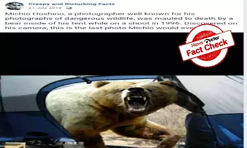 Fact Check: Photographer Michi Hoshino did not capture last moments on camera