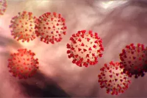 Seroprevalence survey 4.0: Over 70 % of people in AP have COVID antibodies Seroprevalence survey 4.0: Over 70 % of people in AP have COVID antibodies