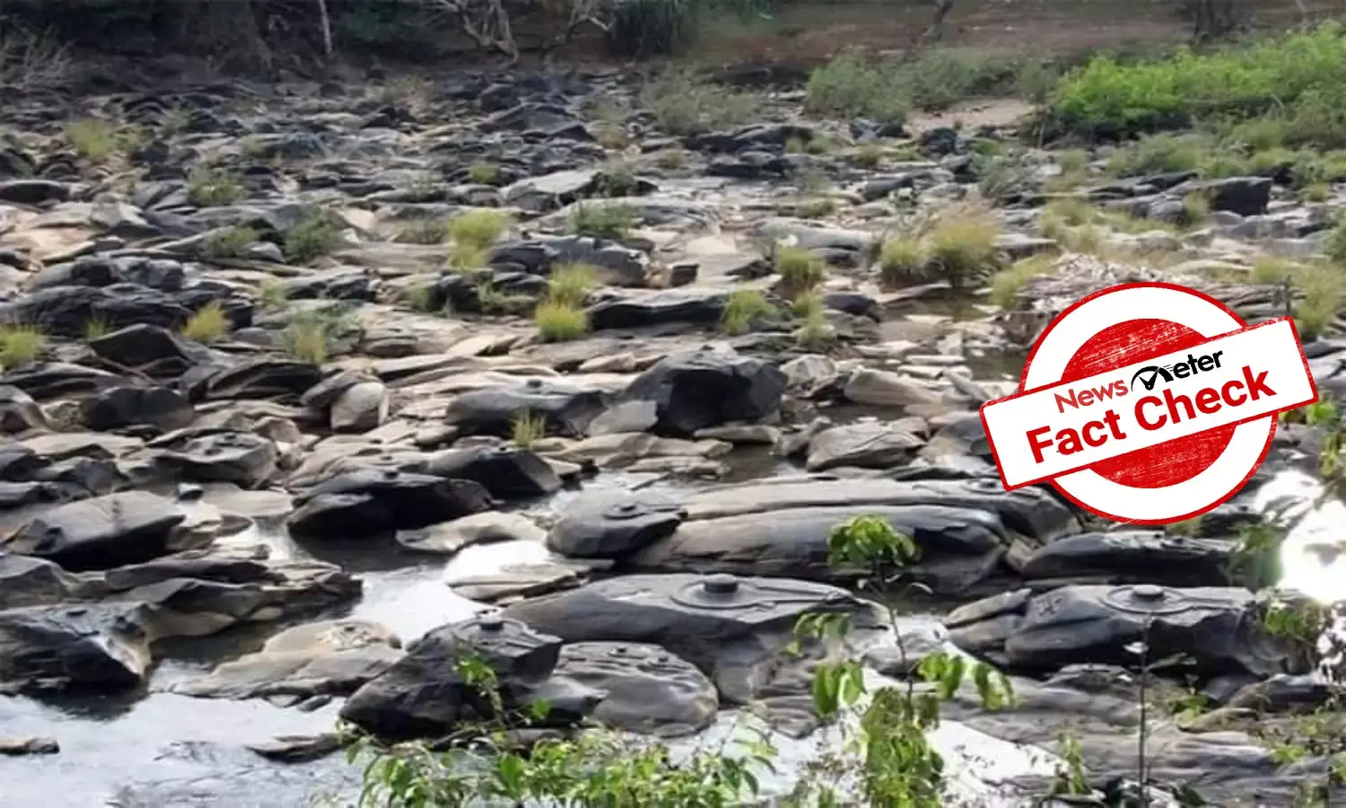 Fact Check: Viral pictures of Shivlings engraved on stones are from Karnataka