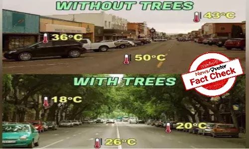 FACT CHECK: Environmental message goes wrong: Pictures of US, Hungry shared with confusing claim