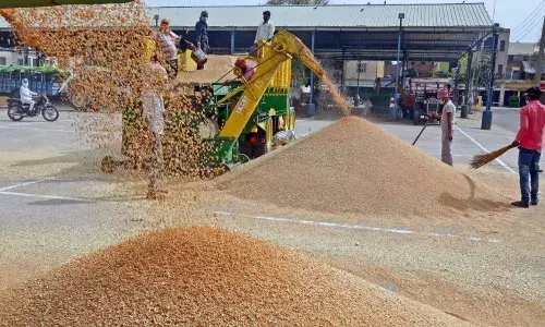 14.37 lakh MT of free food grains allocated to Telangana in two years: Centre