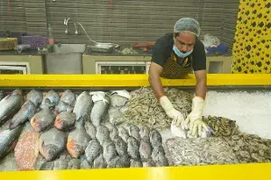 Hyderabad likely to become Indias first city to have a butchery school Hyderabad likely to become Indias first city to have a butchery school