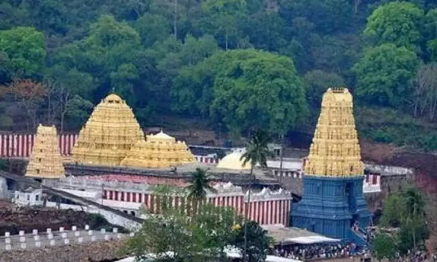 AP vigilance & enforcement dept to probe Simhachalam, MANSAS Trust land irregularities