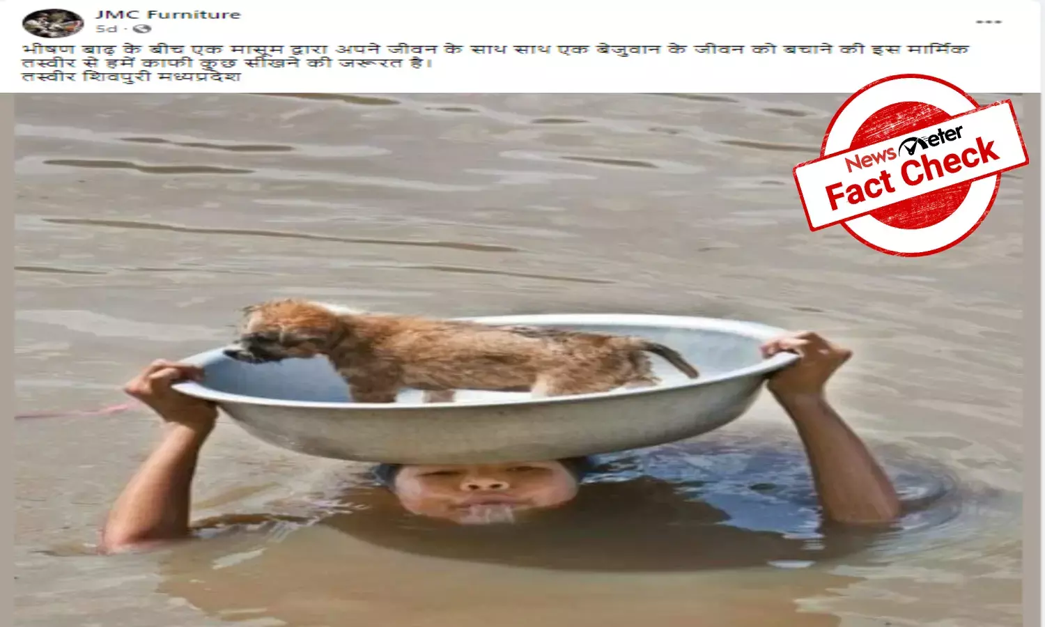 Fact Check: Image of girl carrying puppy is from Vietnam, not MP