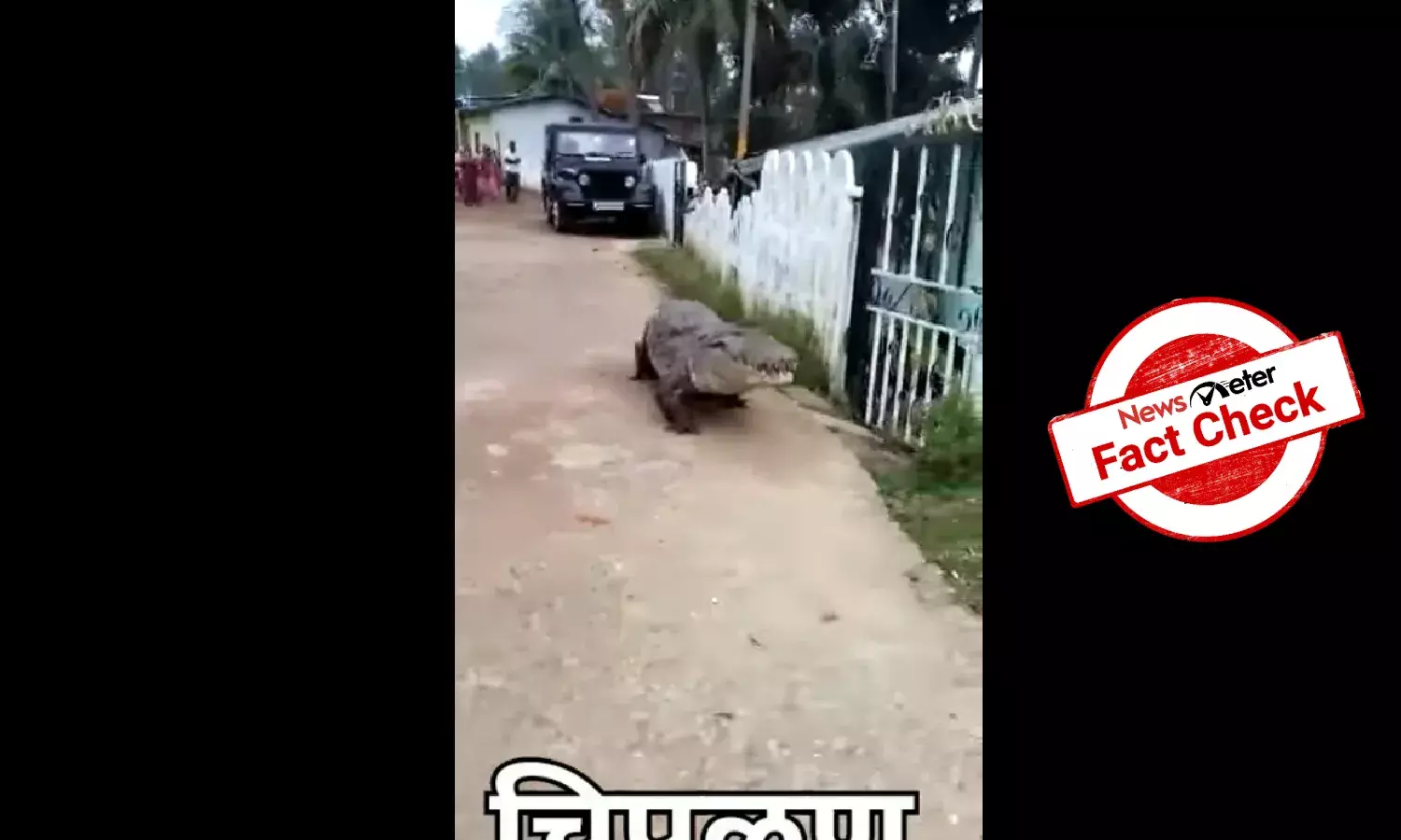 FACT CHECK: Viral video of crocodile is from Karnataka, not Maharashtra