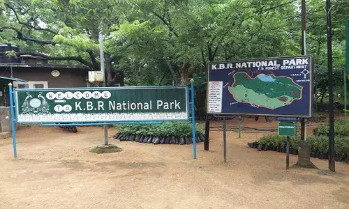 Telangana HC directs state govt to refrain from cutting 1300 trees around KBR National Park