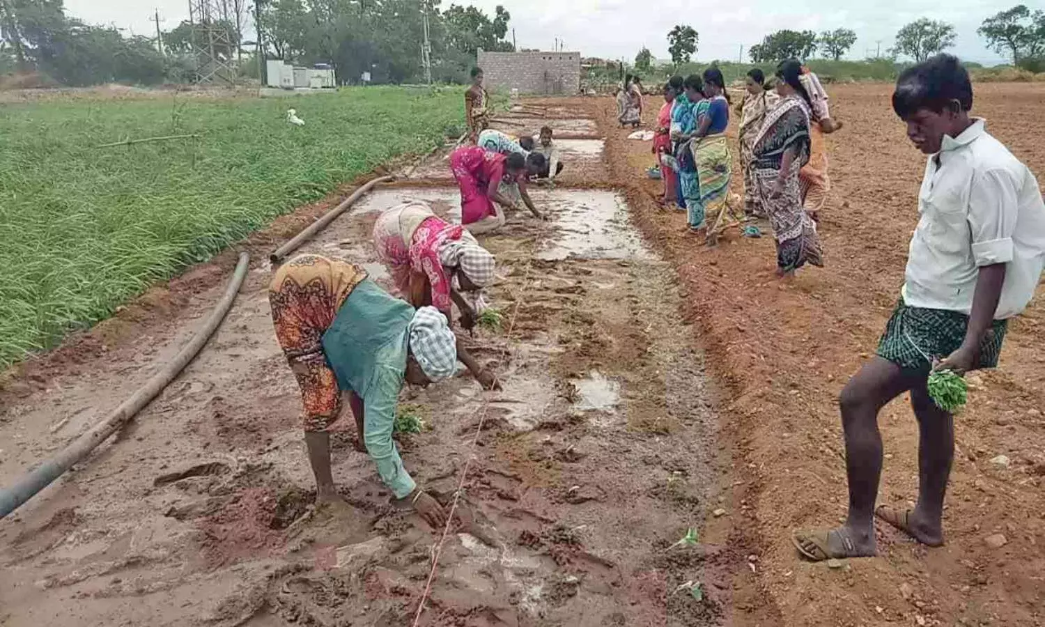 Artificial Intelligence new mantra to solve farmers grievances in Andhra Pradesh