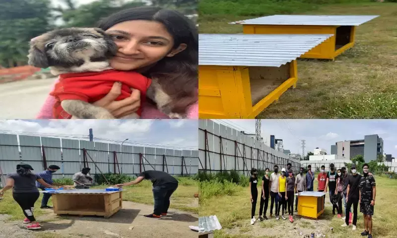 Meet the Pawsome People building shelters for stray dogs in Hyderabad