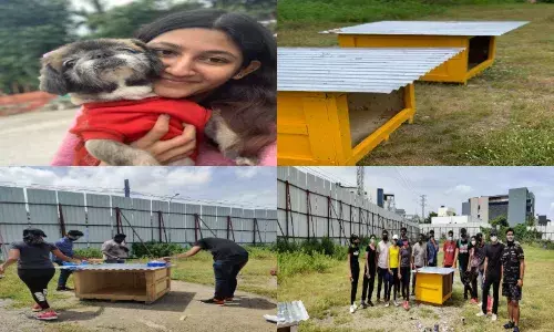 Meet the Pawsome People building shelters for stray dogs in Hyderabad