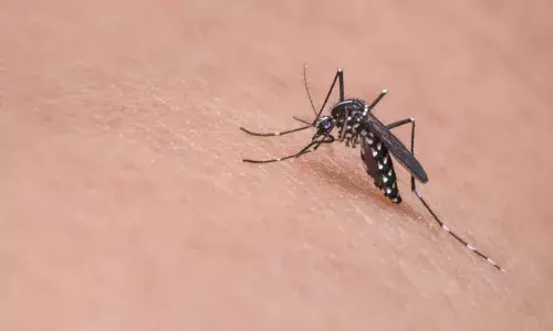 Forget COVID; malaria, dengue are giving sleepless nights to people in Telangana