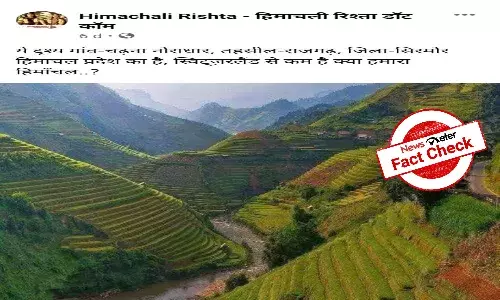 Fact Check: Lush green mountains in viral image are from Vietnam, not Himachal Pradesh