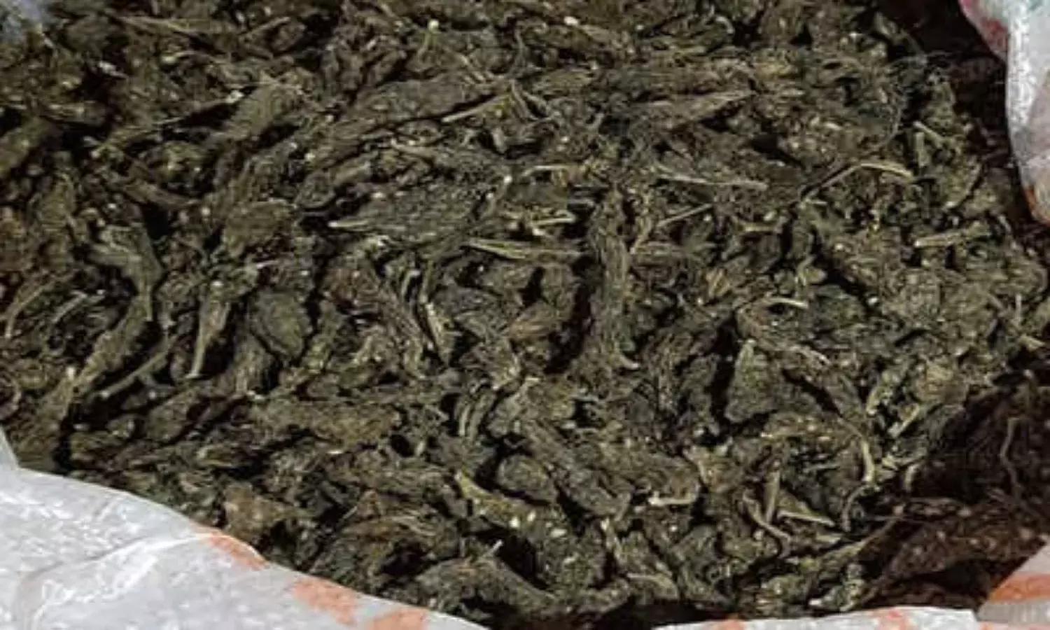 NCB busts inter-state Ganja network, recovers 3400 kilos of contraband worth Rs 21 Cr