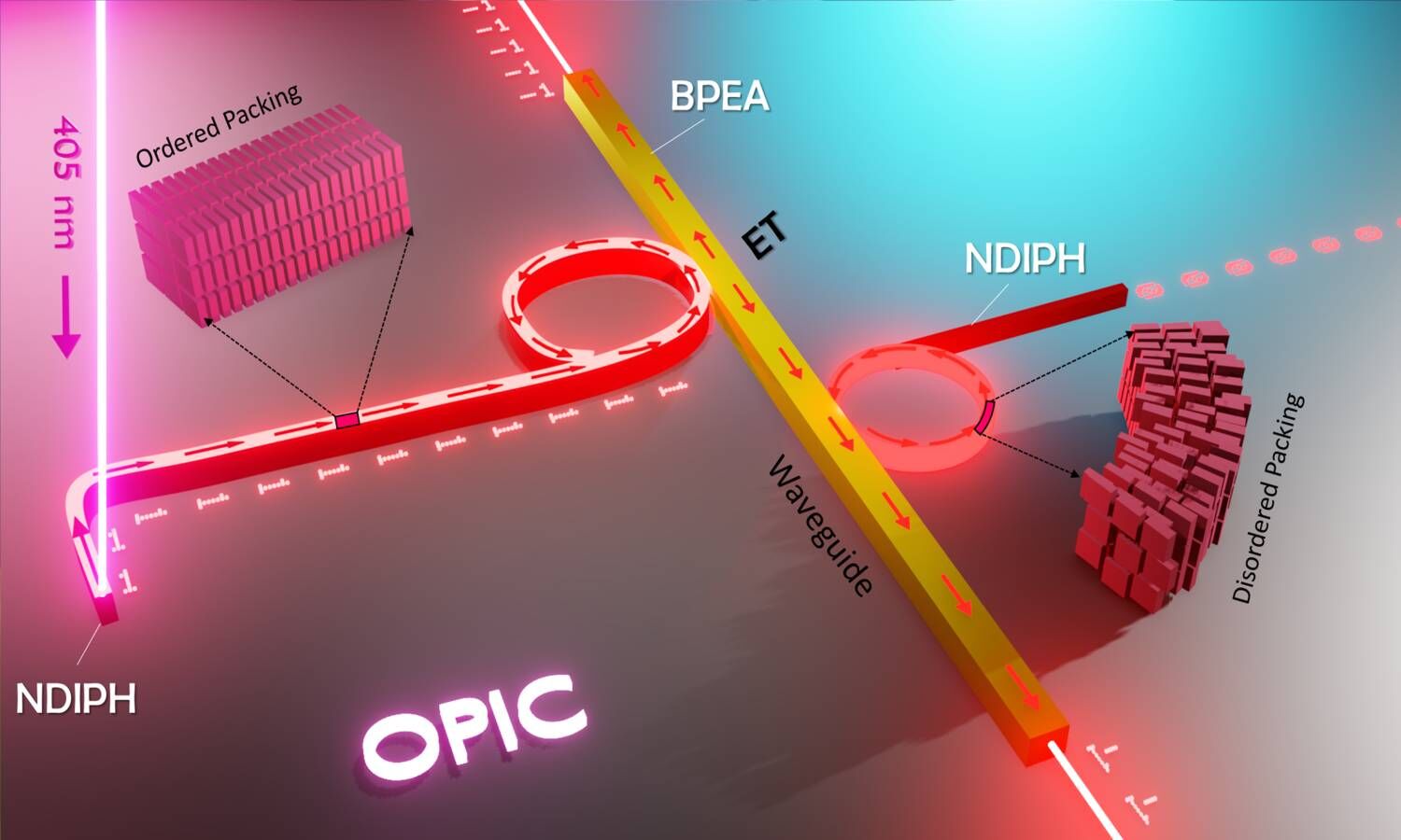 UoH researchers find novel approach to build reconfigurable organic photonic integrated circuits
