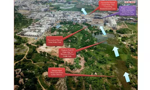 NGT forms joint committee to inspect illegal construction on Ameenpur nala