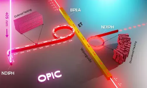 UoH researchers find novel approach to build reconfigurable organic photonic integrated circuits