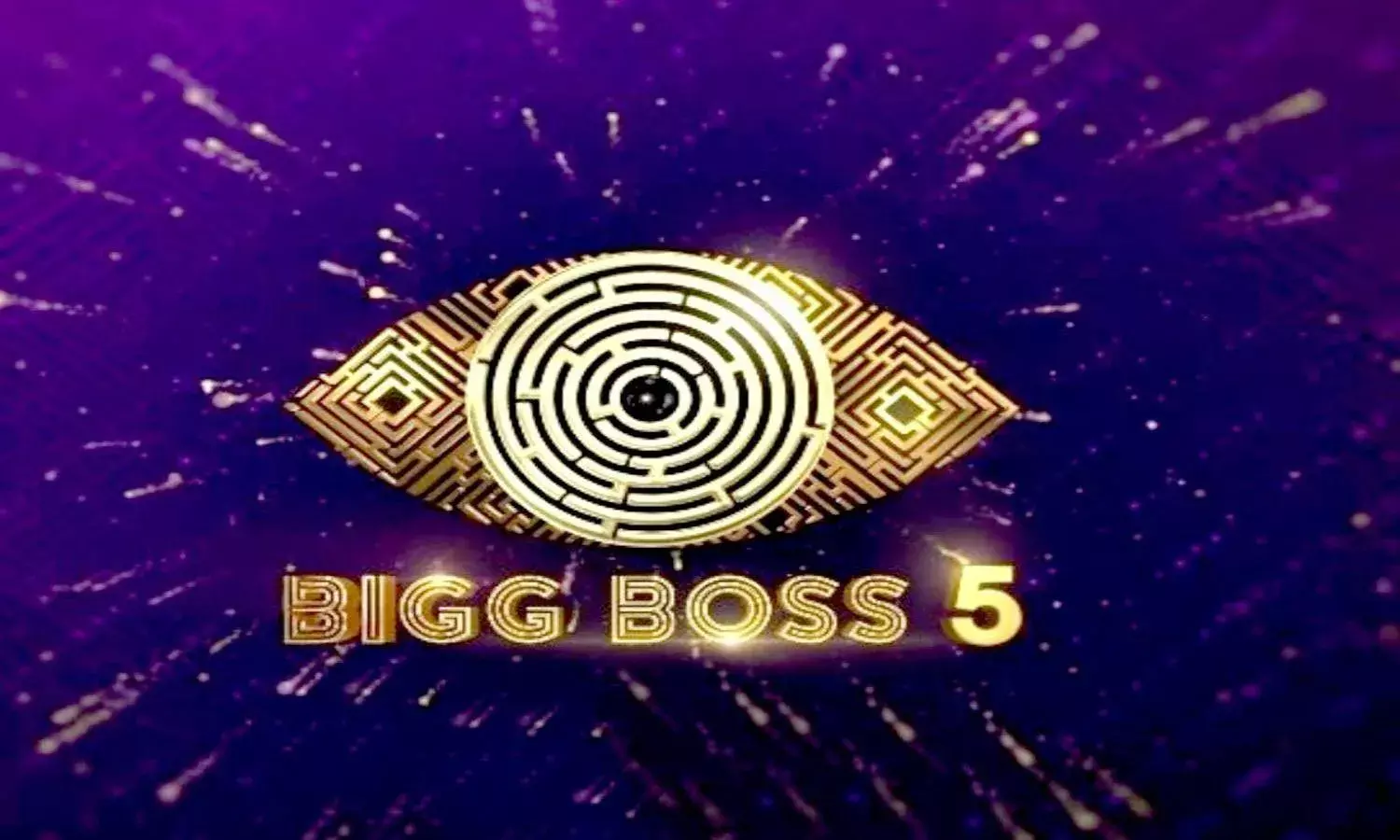 Bigg Boss Telugu Season 5 goes on air: Here is the final list of house inmates