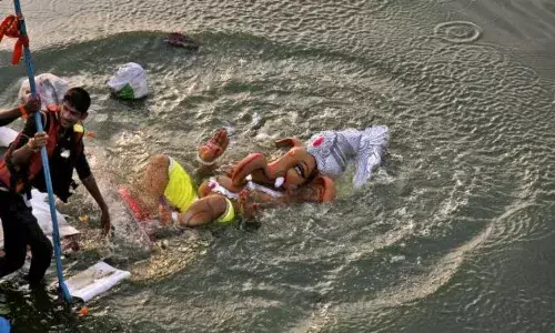 `Are you a toothless tiger: Telangana HC lambasts govt, PCB for not banning PoP idols