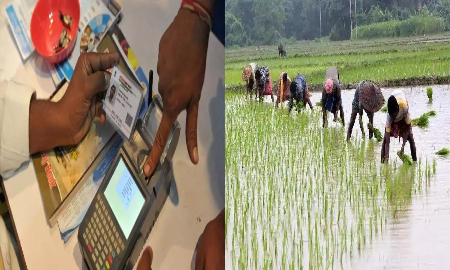 PM KISAN: How Aadhar glitches prevent farmers from availing benefits in Telangana