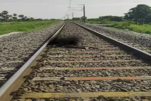Saidabad rape case: TS High Court orders judicial inquiry into Pallakonda Rajus suicide Saidabad rape case: TS High Court orders judicial inquiry into Pallakonda Rajus suicide