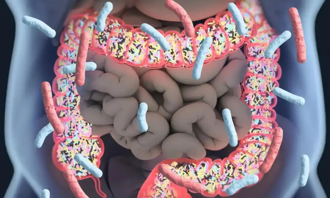 Heres how COVID-19 patients can overcome gastrointestinal complications